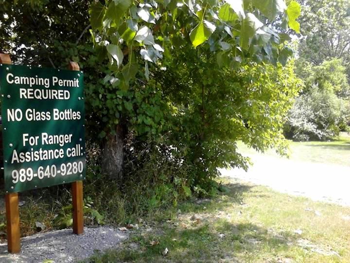 Camping Sites at Reed Park