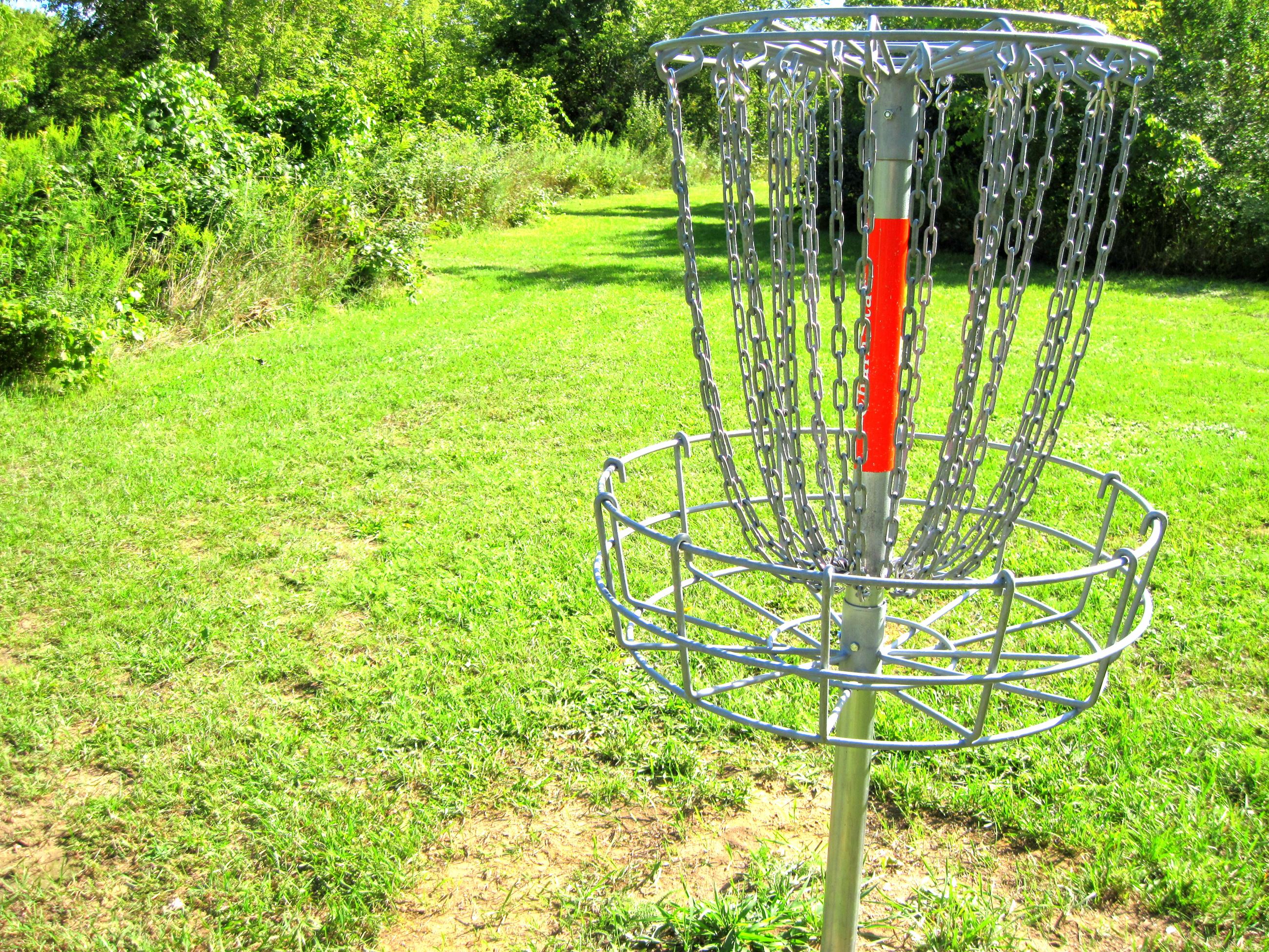 Disc Golf Chains in a Field